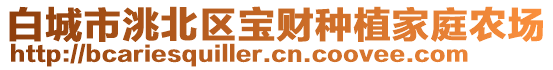 白城市洮北區(qū)寶財種植家庭農(nóng)場