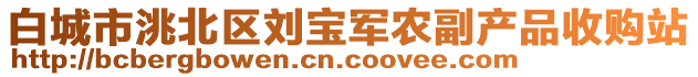 白城市洮北區(qū)劉寶軍農副產品收購站