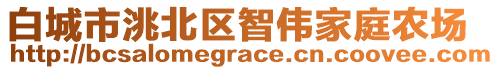 白城市洮北區(qū)智偉家庭農(nóng)場