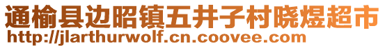 通榆縣邊昭鎮(zhèn)五井子村曉煜超市