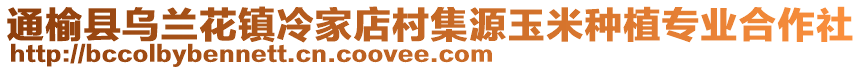 通榆县乌兰花镇冷家店村集源玉米种植专业合作社