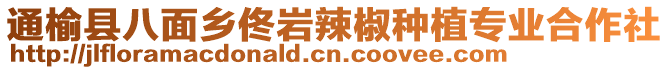 通榆县八面乡佟岩辣椒种植专业合作社