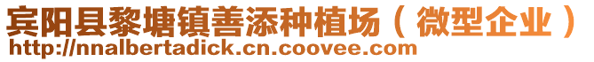 賓陽縣黎塘鎮(zhèn)善添種植場（微型企業(yè)）