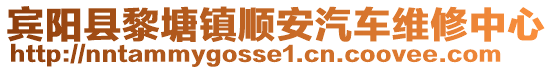 賓陽(yáng)縣黎塘鎮(zhèn)順安汽車維修中心