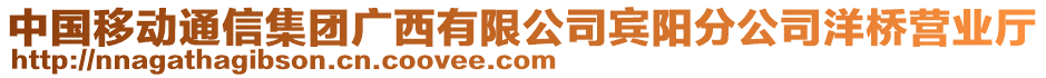 中國移動通信集團廣西有限公司賓陽分公司洋橋營業(yè)廳