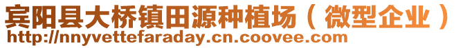 賓陽(yáng)縣大橋鎮(zhèn)田源種植場(chǎng)（微型企業(yè)）