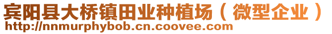 賓陽縣大橋鎮(zhèn)田業(yè)種植場（微型企業(yè)）