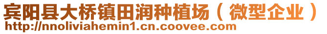 賓陽(yáng)縣大橋鎮(zhèn)田潤(rùn)種植場(chǎng)（微型企業(yè)）