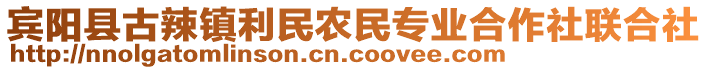 賓陽縣古辣鎮(zhèn)利民農(nóng)民專業(yè)合作社聯(lián)合社