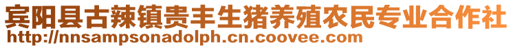 賓陽(yáng)縣古辣鎮(zhèn)貴豐生豬養(yǎng)殖農(nóng)民專(zhuān)業(yè)合作社