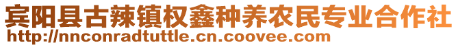 賓陽(yáng)縣古辣鎮(zhèn)權(quán)鑫種養(yǎng)農(nóng)民專(zhuān)業(yè)合作社