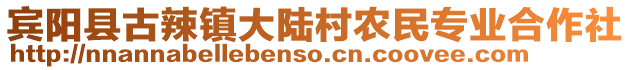 賓陽縣古辣鎮(zhèn)大陸村農(nóng)民專業(yè)合作社