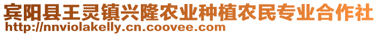 賓陽縣王靈鎮(zhèn)興隆農(nóng)業(yè)種植農(nóng)民專業(yè)合作社