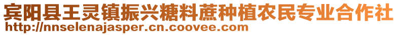 賓陽縣王靈鎮(zhèn)振興糖料蔗種植農(nóng)民專業(yè)合作社