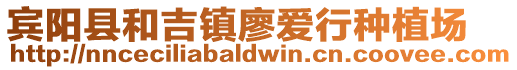 賓陽縣和吉鎮(zhèn)廖愛行種植場