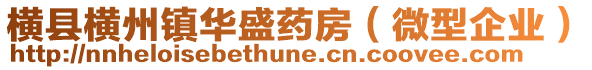 橫縣橫州鎮(zhèn)華盛藥房（微型企業(yè)）