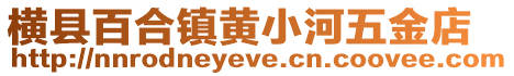 横县百合镇黄小河五金店