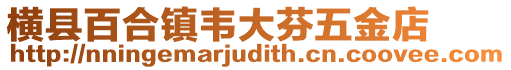 橫縣百合鎮(zhèn)韋大芬五金店