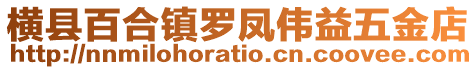 橫縣百合鎮(zhèn)羅鳳偉益五金店