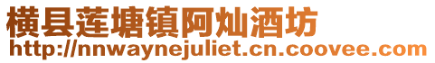 橫縣蓮塘鎮阿燦酒坊