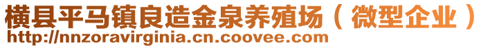 橫縣平馬鎮良造金泉養殖場(微型企業)