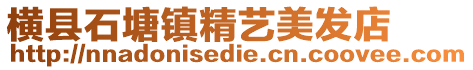 橫縣石塘鎮(zhèn)精藝美發(fā)店