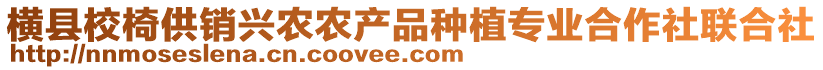 橫縣校椅供銷興農農產品種植專業合作社聯合社