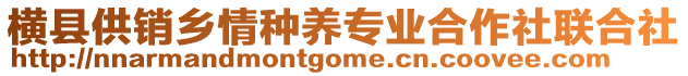 橫縣供銷鄉(xiāng)情種養(yǎng)專業(yè)合作社聯(lián)合社