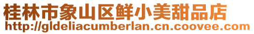 桂林市象山區(qū)鮮小美甜品店