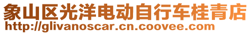 象山區(qū)光洋電動自行車桂青店