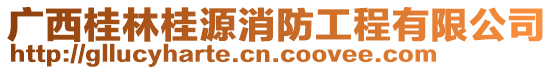 廣西桂林桂源消防工程有限公司