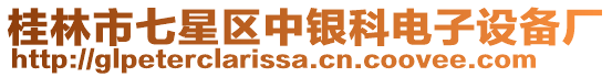 桂林市七星區(qū)中銀科電子設備廠