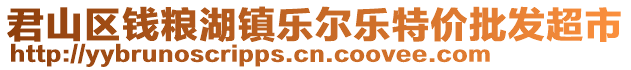 君山區(qū)錢糧湖鎮(zhèn)樂爾樂特價批發(fā)超市