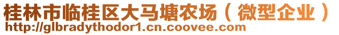 桂林市臨桂區(qū)大馬塘農(nóng)場(chǎng)（微型企業(yè)）