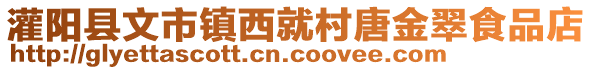 灌陽縣文市鎮(zhèn)西就村唐金翠食品店