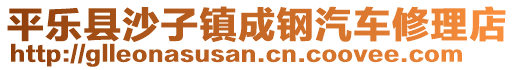 平樂縣沙子鎮(zhèn)成鋼汽車修理店