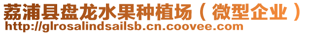 荔浦縣盤龍水果種植場(chǎng)（微型企業(yè)）