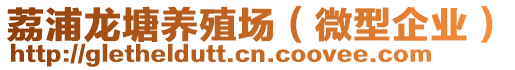 荔浦龍?zhí)琉B(yǎng)殖場（微型企業(yè)）