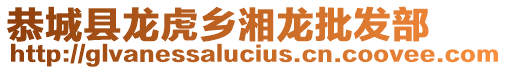 恭城縣龍虎鄉(xiāng)湘龍批發(fā)部