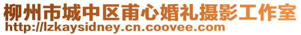 柳州市城中區(qū)甫心婚禮攝影工作室