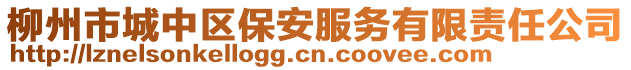 柳州市城中區(qū)保安服務(wù)有限責(zé)任公司