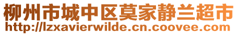 柳州市城中區(qū)莫家靜蘭超市