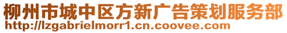 柳州市城中區(qū)方新廣告策劃服務(wù)部