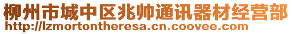 柳州市城中區(qū)兆帥通訊器材經(jīng)營部