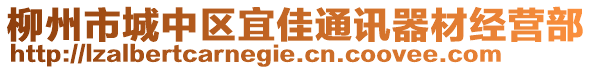 柳州市城中区宜佳通讯器材经营部