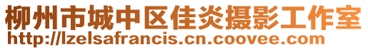 柳州市城中區(qū)佳炎攝影工作室