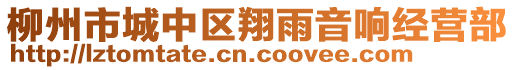 柳州市城中區(qū)翔雨音響經(jīng)營(yíng)部