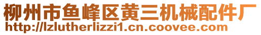 柳州市鱼峰区黄三机械配件厂