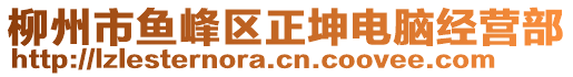 柳州市魚峰區正坤電腦經營部