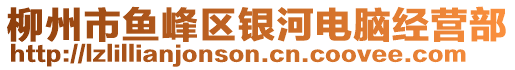 柳州市魚(yú)峰區(qū)銀河電腦經(jīng)營(yíng)部